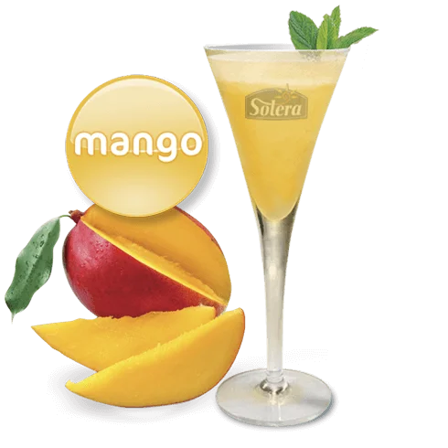 Sorbete de Mango (1+2)